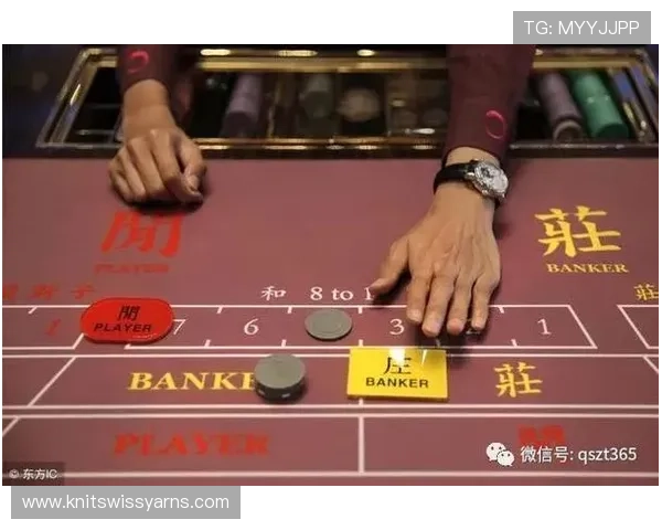 提升百家乐游戏胜率的必备工具百家乐路单记录器的详细使用技巧与实战经验分享