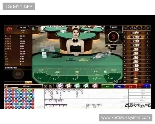 最新真人百家乐源码完整版本分享，助你轻松搭建专业博彩网站