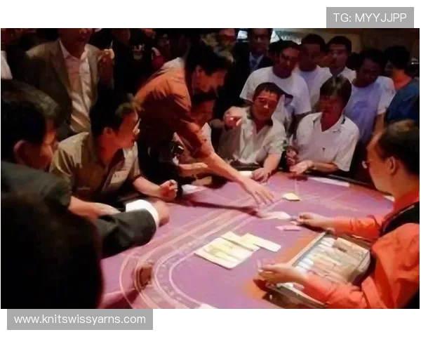 澳门真人赌钱的法律法规与风险提示，保障玩家合法权益与安全游戏环境