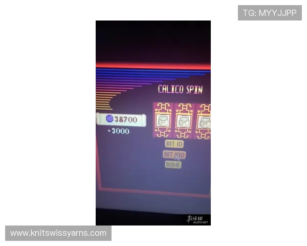 澳门赌场庄闲玩法技巧分享：如何在庄闲游戏中实现稳健盈利