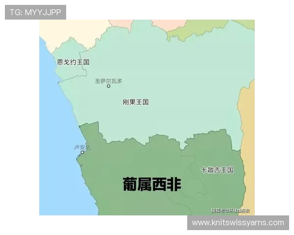 了解葡萄牙对民主刚果签证要求及其对足球国家队出访安排的影响