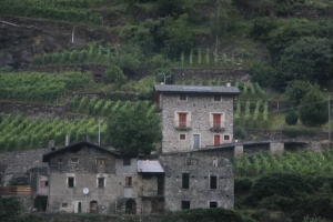Wine Region of Italy.